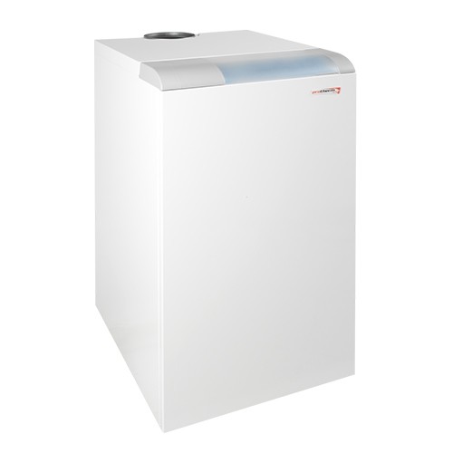 Котел газовый напольный Protherm медведь 20 TLO - 18 кВт (одноконтурный, открытая камера сгорания)
