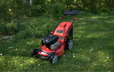 Обзор газонокосилок DDE: на какие модели обратить внимание