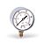 Манометр радиальный WATTS F+R260 (MRSC) - 1/4" (для газа, D-63 мм, шкала 0-100 мбар)