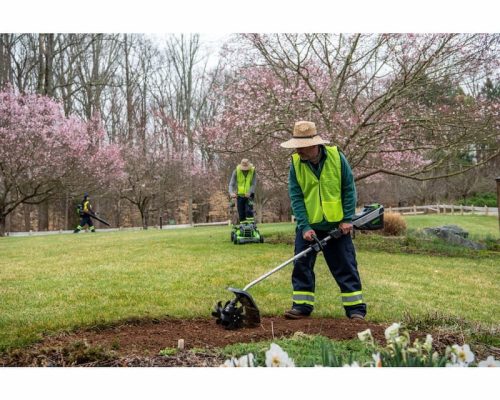 Триммер аккумуляторный бесщеточный Greenworks 82TD10 82V (без АКБ и ЗУ) 2109607