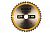 Пильный диск CONSTRUCT (216х30 мм; 40 ATB) Dewalt DT1953