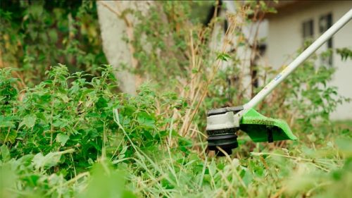 Фото Триммер аккумуляторный бесщеточный Greenworks GD60BCB (без АКБ и ЗУ) 2108407 Триммер аккумуляторный бесщеточный Greenworks GD60BCB (без АКБ и ЗУ) 2108407