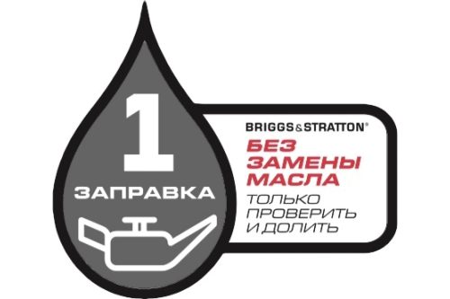 Фото Газонокосилка CHAMPION LM5347EBS Газонокосилка CHAMPION LM5347EBS