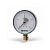 Манометр радиальный WATTS F+R250 (MRS) - 1/2" (D-100 мм, шкала 0-4 бар, с указателем предела)