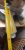 Торцовочная пила Dewalt DWS774