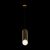 Подвесной светильник Maytoni P361PL-01G