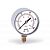 Манометр радиальный WATTS F+R260 (MRSC) - 1/4" (для газа, D-63 мм, шкала 0-60 мбар)