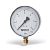 Манометр радиальный WATTS F+R250 (MRS) - 1/2" (D-100 мм, шкала 0-10 бар)
