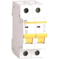 Автоматический 2-полюсный выключатель IEK ВА47-29 2А, С 4.5кА MVA20-2-002-C