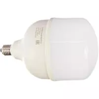 Светодиодная лампа ЭРА LED smd POWER 65W-6500-E27/E40 Б0027924