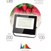 Фито-прожектор для цветения и плодоношения ЭРА FITO-100W-Ra90-LED 10/200 Б0047876