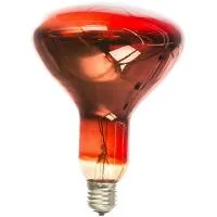 ЭРА Инфракрасная лампа красного света ИКЗК 220-250 R127 Б0042980