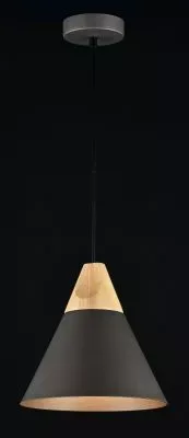 Подвесной светильник Maytoni P359-PL-220-C