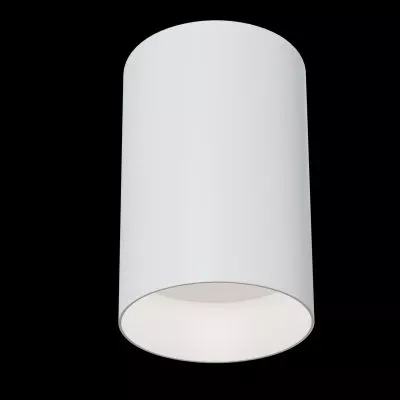 Потолочный светильник Technical C014CL-01W