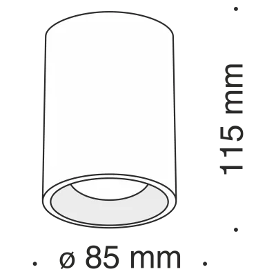 Потолочный светильник Technical C012CL-01B