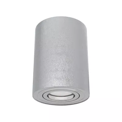 Потолочный светильник Technical C016CL-01S