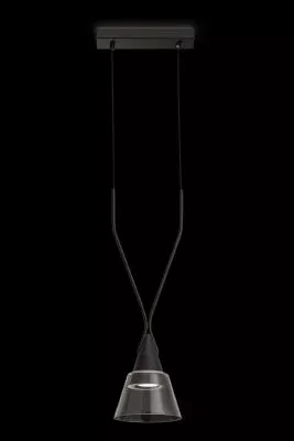 Подвесной светильник Maytoni P063PL-01B