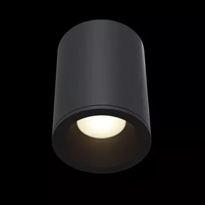 Потолочный светильник Technical C029CL-01B
