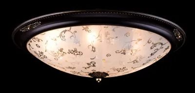 Потолочный светильник Maytoni C907-CL-06-R