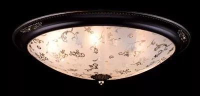 Потолочный светильник Maytoni C907-CL-06-R