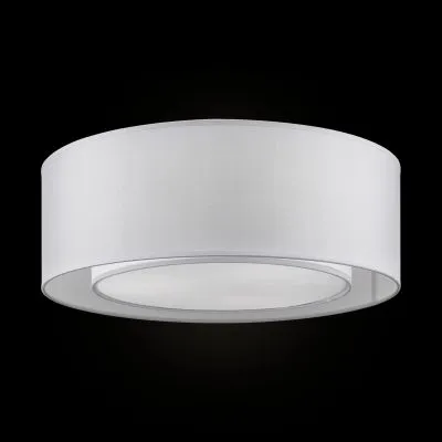 Потолочный светильник Maytoni MOD617CL-04GR