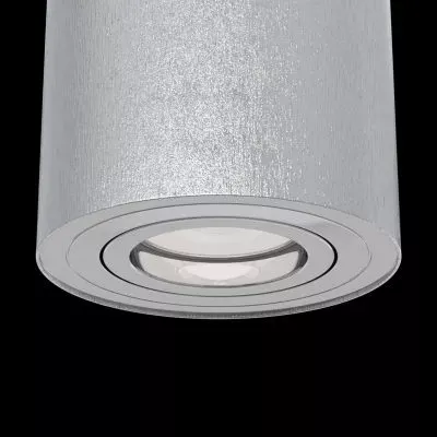 Потолочный светильник Technical C016CL-01S