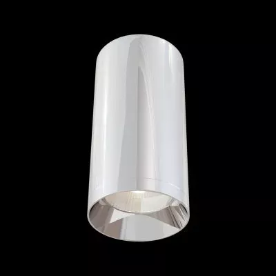 Потолочный светильник Technical C010CL-01CH