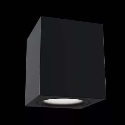 Потолочный светильник Technical C013CL-01B