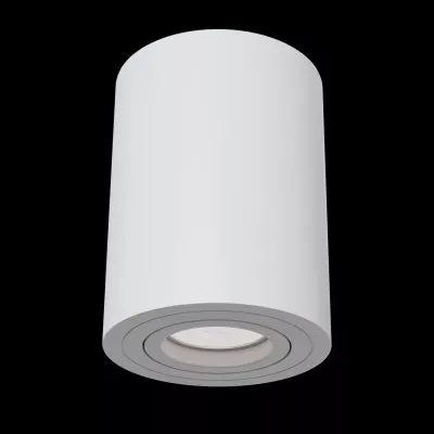 Потолочный светильник Technical C016CL-01W