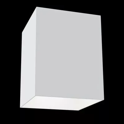 Потолочный светильник Technical C015CL-01W