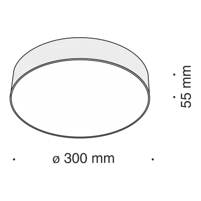 Потолочный светильник Technical C032CL-L43B4K