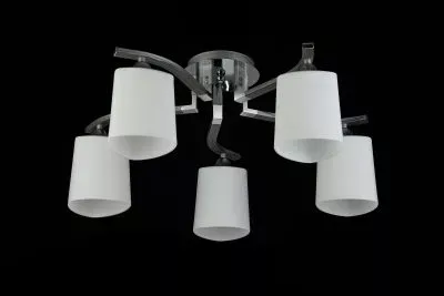 Потолочный светильник Freya FR5454CL-05CH