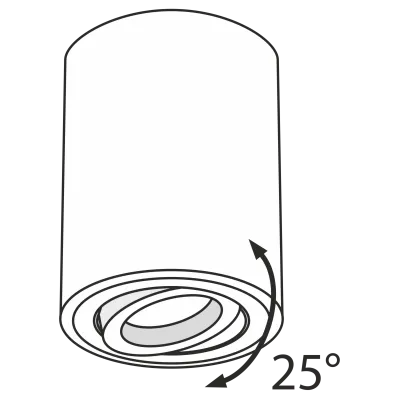 Потолочный светильник Technical C016CL-01W