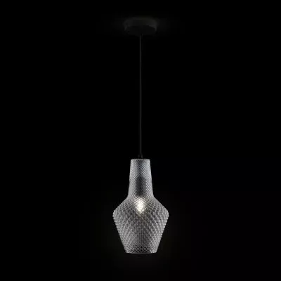 Подвесной светильник Maytoni P040PL-01B